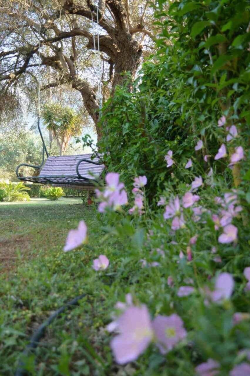 Sunny Garden Apartment
