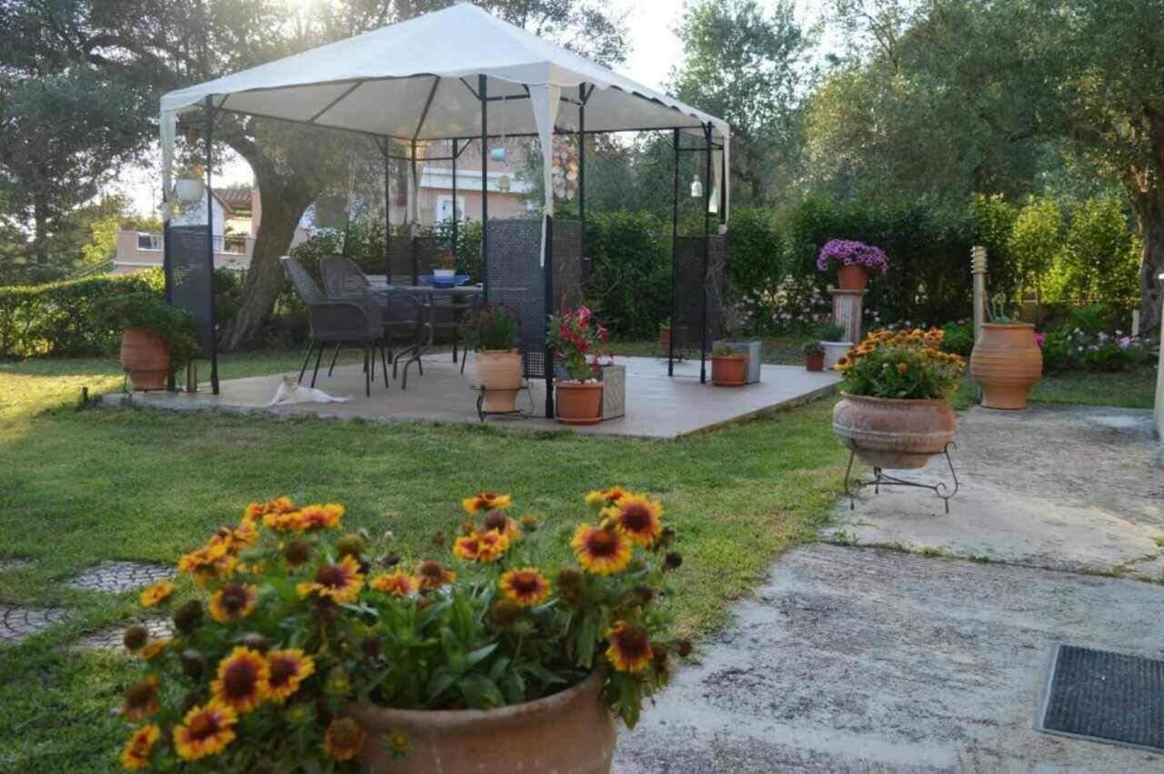 Sunny Garden * Plataria