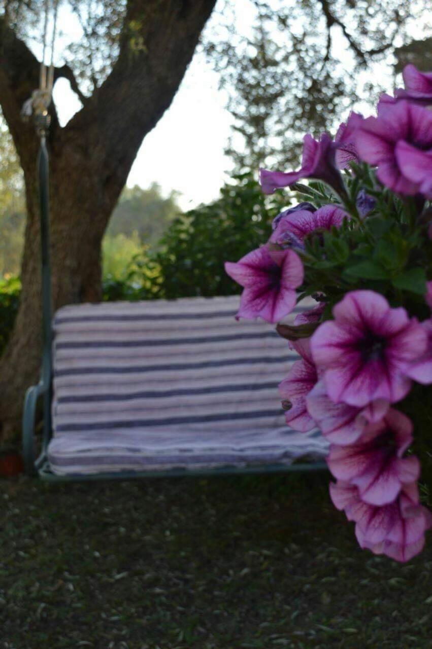 Sunny Garden *